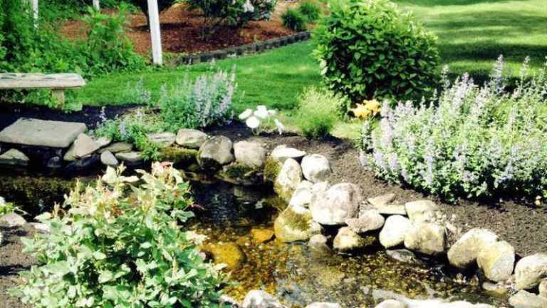 Backyard Landscaping Ideas For Large Yards