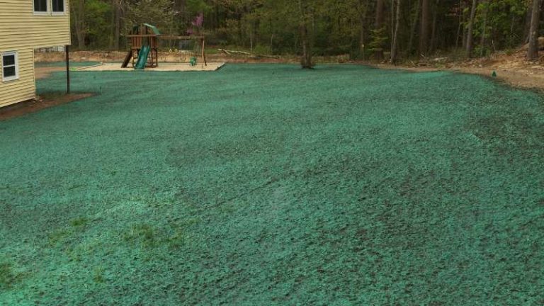 What You Need To Know About Hydroseeding