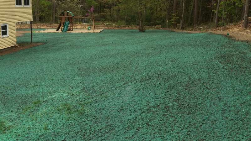 hydroseeding for large backyards