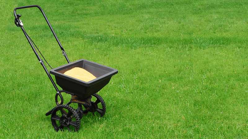 lawn fertilization