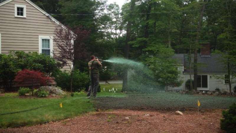 hydroseeding