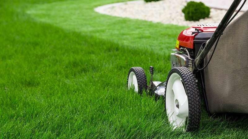 lawn mowing