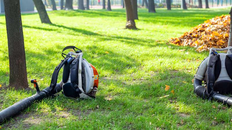 leaf removal