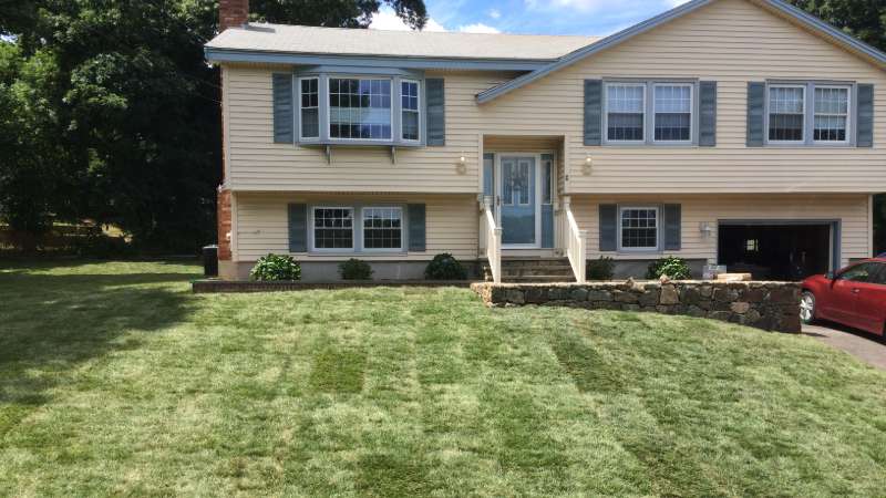 new lawn installation